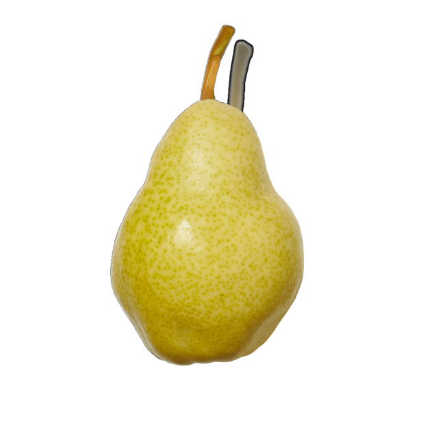 Pera blanca image content
