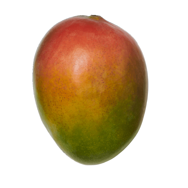 Piel de mango image content