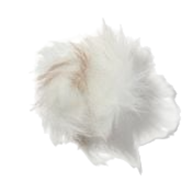 ambrette-malva-almizclera.png