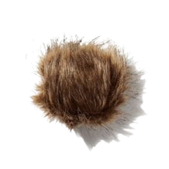 Angélica almizcle