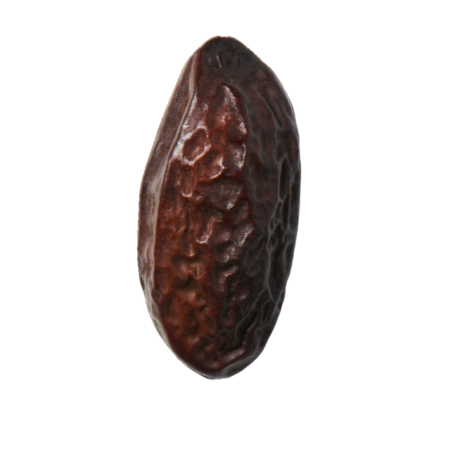 haba tonka image content