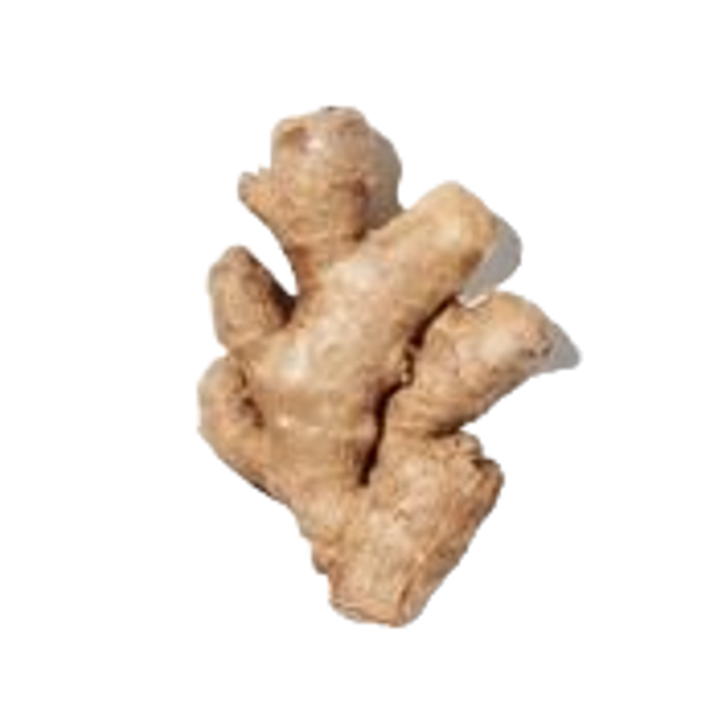 Jengibre image content