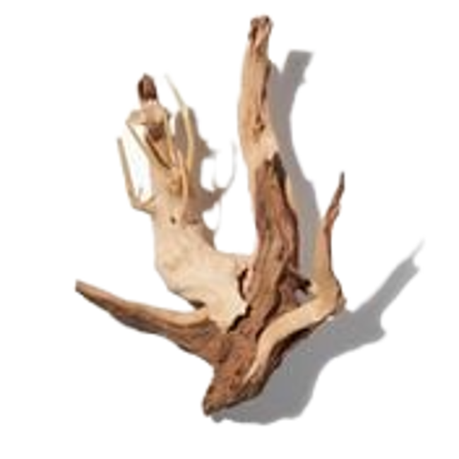 madera-flotante.png
