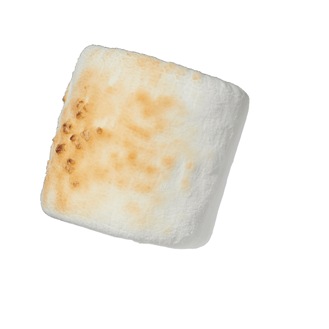 malvavisco.png