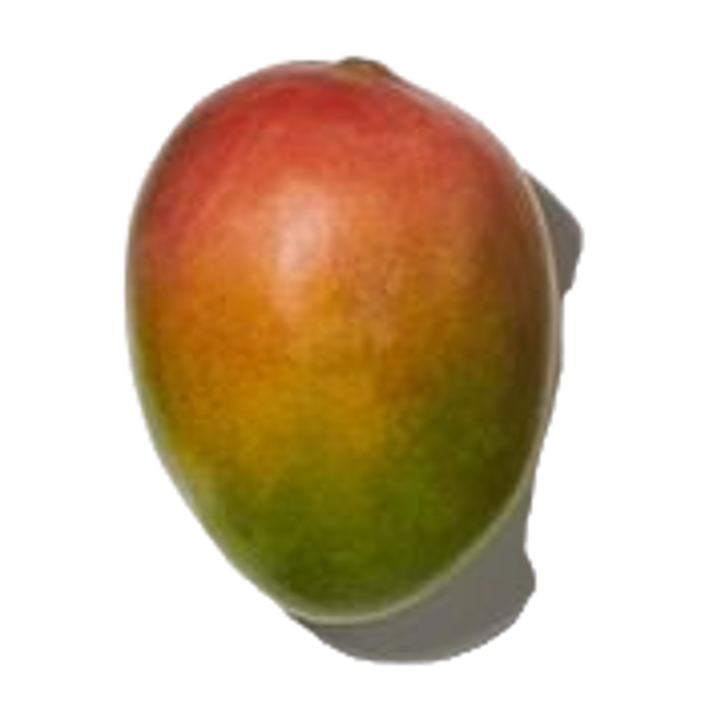 mango dorado image content