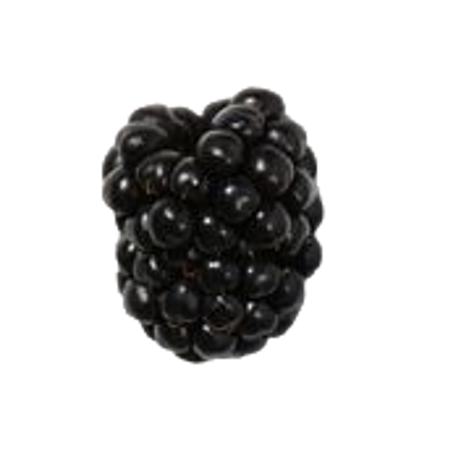 mora.png