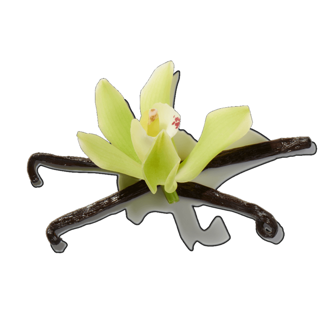 orquidea vainilla image content