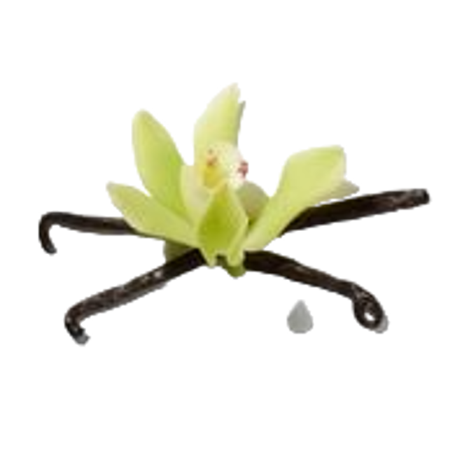 vainilla cremosa image content