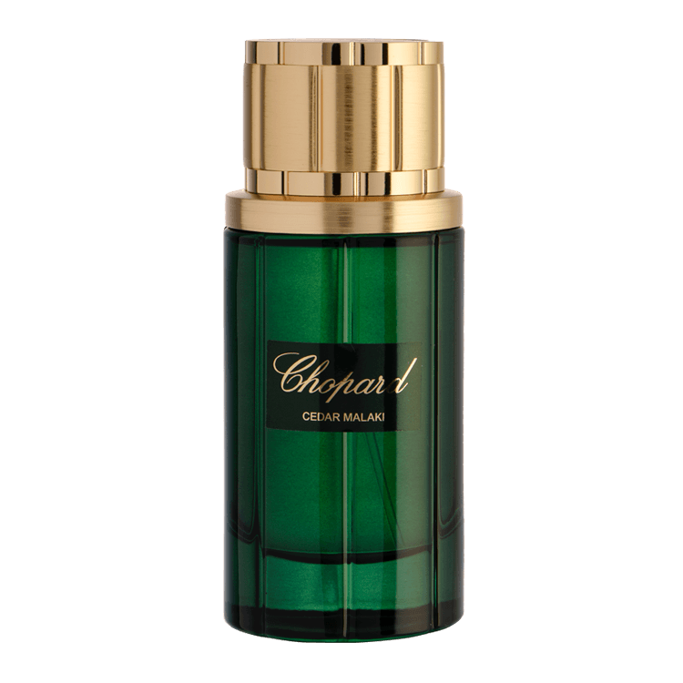 Malaki Cedar de Chopard