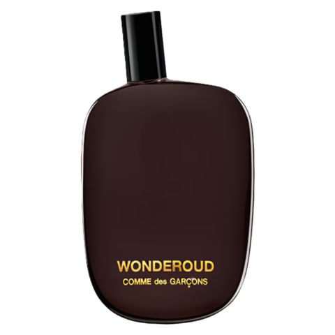 112159-COMME GAR&Ccedil;ONS WONDEROUD EPV 100ML_1
