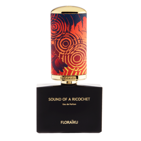 123159_FLORAIKU_SOUND_OF_RICOCHET_EPV_1