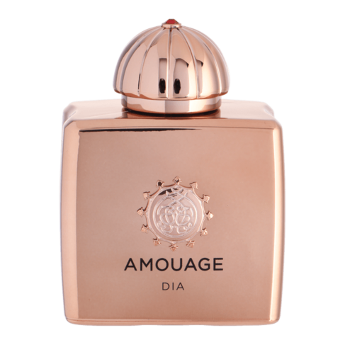 126725_AMOUAGE_DIA_WOMAN_EPV_100ML_1