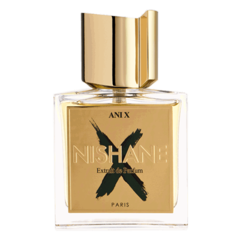 Ani X