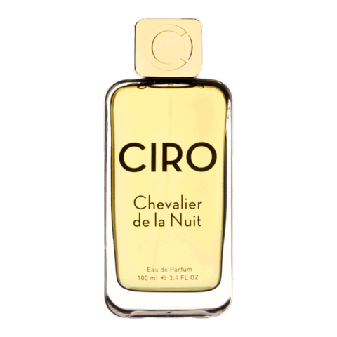 Chevalier de La Nuit 
