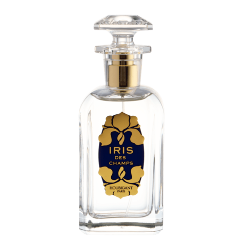 Iris Des Champs