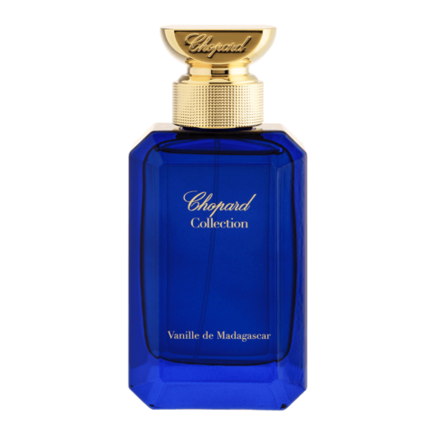 Vanille de Madagarcar