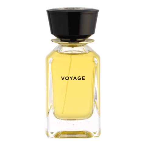 Voyage