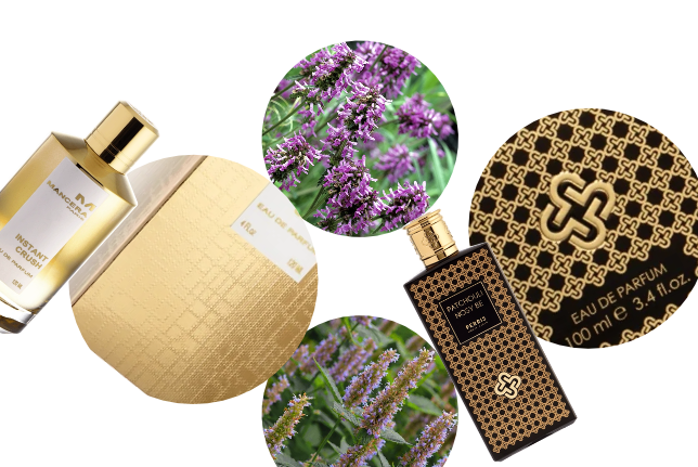 Perfumes Nicho de Mujer: 7 Fragancias para Marcar la Diferencia
