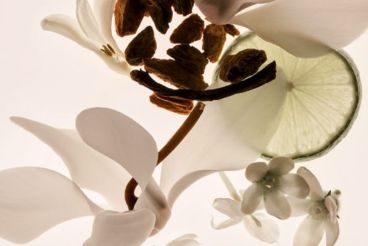 Perfume de nicho con un packaging elegante