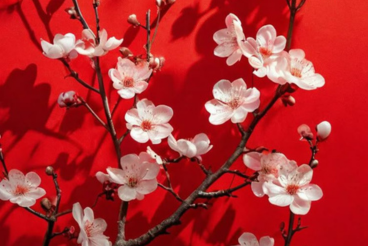 Perfume de nicho con un packaging elegante