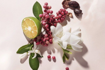 Perfume de nicho con un packaging elegante