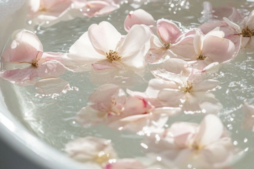 Textura de madera uniforme