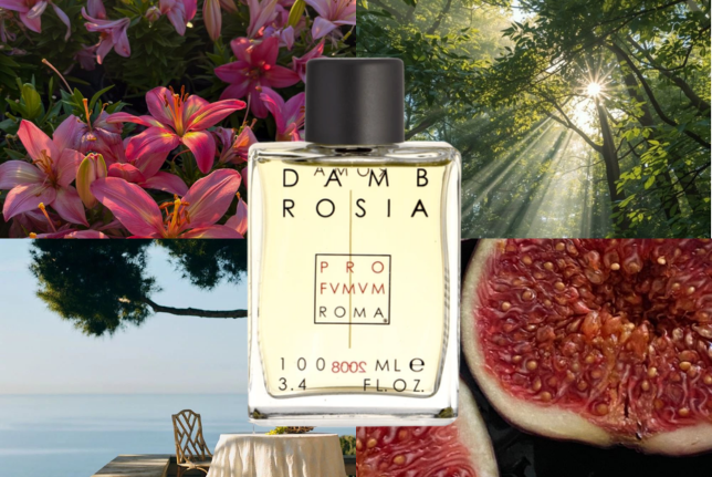 Perfume de nicho con un packaging elegante