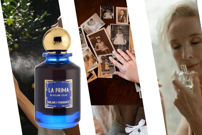 Perfume de nicho Xerjoff V Erba Gold