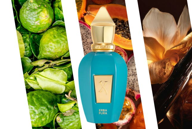 perfume de nicho mujer Dama Bianca – Casamorati