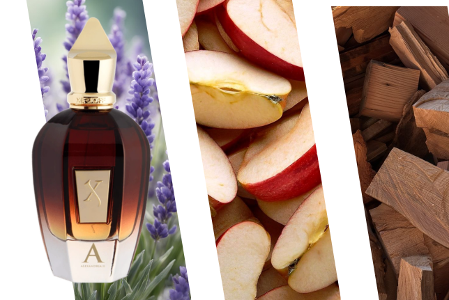 Perfume de autor Xerjoff Alexandria II Colección Oud Stars