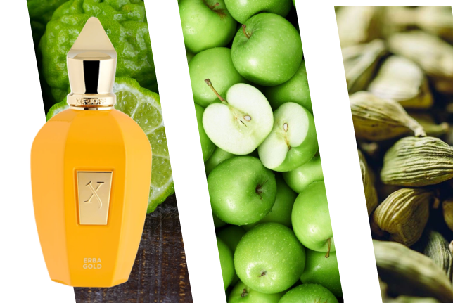 perfume de nicho Xerjoff V Erba Gold