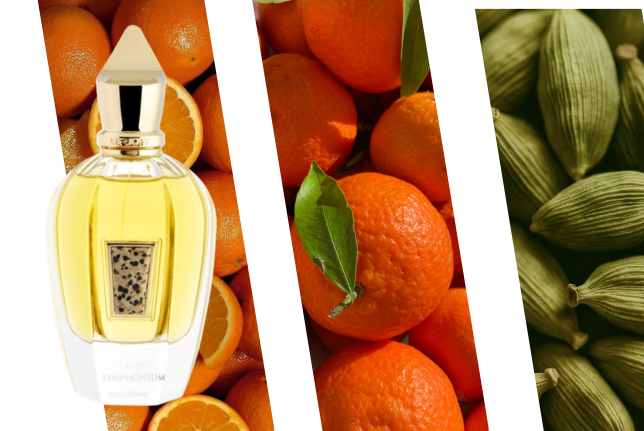 Perfume de nicho Xerjoff Synphonium Extrait de Parfum