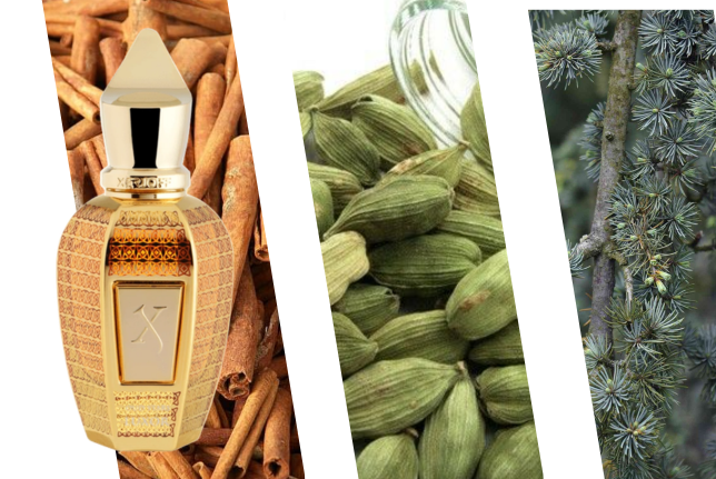 perfumes de nicho Xerjoff Luxor Eau de Parfum