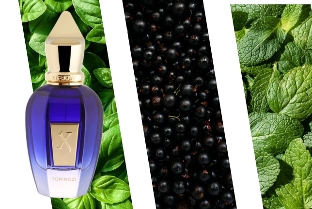 Perfumes de nicho Xerjoff JTC Torino23